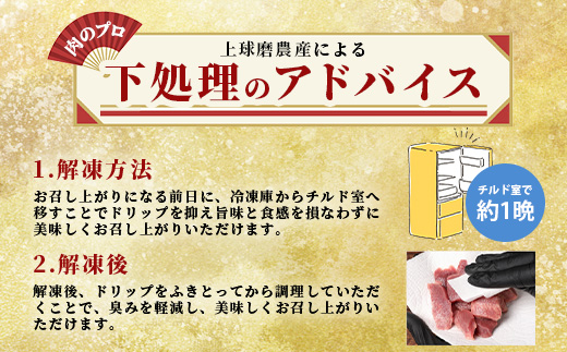 厚切り 牛 ハラミ ステーキ＆ 厚切り 牛タン 【合計 1㎏ 】 焼肉 バーベキュー キャンプ アウトドア ハラミ 焼き肉 カット済み 塩味 牛肉 肉 冷凍 パック 067-0672