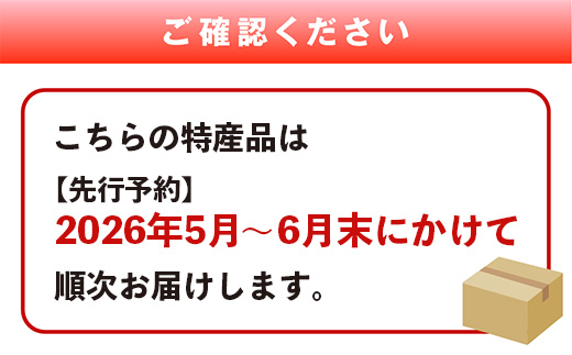 【2026年5月上旬～順次発送 先行予約】小玉スイカ ひとりじめ (2玉) 令和8年 夏 スイカ 食べきりサイズ 西瓜 フルーツ 果物 旬の味覚 すいか 甘い 産地直送 008-0663