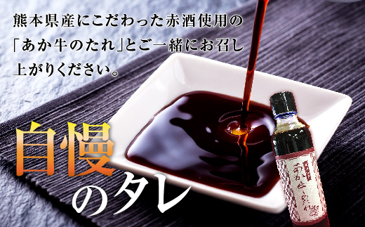 あか牛 極上ヒレ ステーキ セット 計300g ＜ヒレ150g×2枚、あか牛のたれ200ml＞  あか牛 牛肉 肉 熊本県産 多良木町 ご馳走 お祝い お取り寄せ グルメ 046-0167