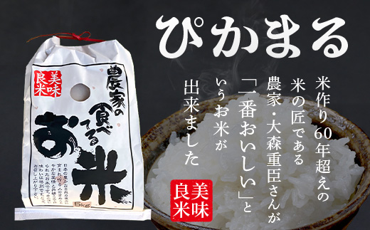 【 令和7年産 新米 先行予約 】 多良木町産 ぴかまる 5kg （ 令和7年10月下旬より順次発送 ）新米 農家が食べる お米 5キロ 甘み 米 美味しい米 米 白米 精米 熊本 065-0640
