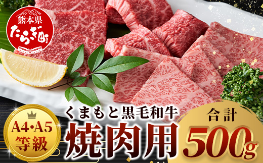 【 A4〜 A5 等級 】くまもと黒毛和牛 焼肉用 500ｇ【 ブランド 牛肉 肉 やき肉 焼き肉 バラ ロース モモ 和牛 国産 熊本県 上級 上質 】