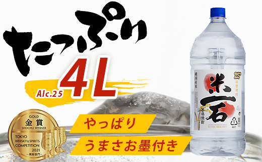 【年内お届け】 球磨焼酎【米一石】4L エコペット 25度 米焼酎 蔵元直送 ※12月18日～28日発送※ 年内発送 年内配送 クリスマス 040-0585-R612