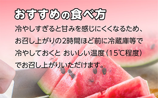 【2025年5月～6月発送 先行予約】小玉スイカ ひとりじめ (2玉) 令和7年 夏 スイカ 食べきりサイズ 西瓜 フルーツ 果物 旬の味覚 すいか 甘い 産地直送 008-0663