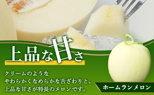 【2025年4月中旬発送開始】熊本県産 ホームランメロン 2玉  約2.5kg以上 【 ホームラン メロン フルーツ 果物 くだもの 熊本県 多良木町 】 083-0699