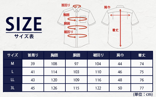 HITOYOSHI テックシャツ 半袖 柄の2枚セット【サイズ：3L】 イージーケア 年間素材 速乾 軽量 日本製 ストライプ ギンガムチェック HITOYOSHI シャツ クールマックス 紳士用  110-0816-3L