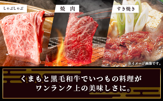 【定期便6回】くまもと黒毛和牛 味わい定期便～合計 3kg 《 黒毛 和牛 ロース 焼き肉 すき焼き 切り落とし 赤身 スライス 和王 》 肉 すき焼き 焼肉 霜降り 上質 ブランド牛 国産 牛肉 冷凍 熊本県 113-0521