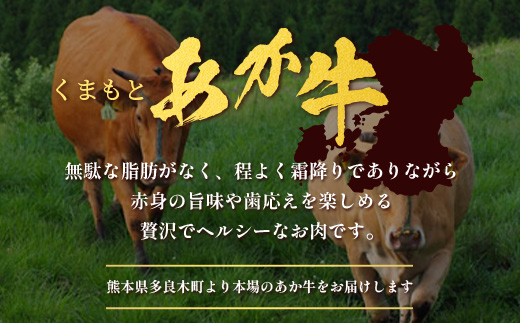 くまもとあか牛詰合せA 《 切り落とし ・ ハンバーグ 》 計1.25kg あか牛 牛肉 切り落とし ハンバーグ ブランド牛 国産 スライス 詰め合わせ セット 105-0506