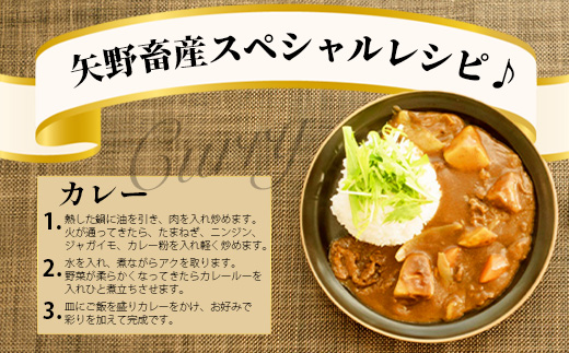 くまもとあか牛切り落とし徳用 500g×2パック 計1kg 熊本県 ブランド牛 肉 ヘルシー 赤身 牛肉 大容量 熊本県 ブランド あかうし 牛肉 用途多彩 きりおとし