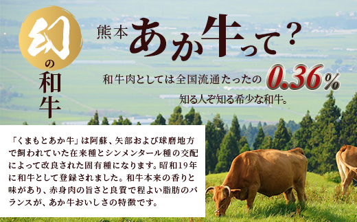 【定期便3回】熊本あか牛 切り落とし 500g × 3回  国産 ブランド牛 肉 冷凍 熊本 熊本県産 あか牛 赤牛 定期配送 定期便 切り落とし 041-0144