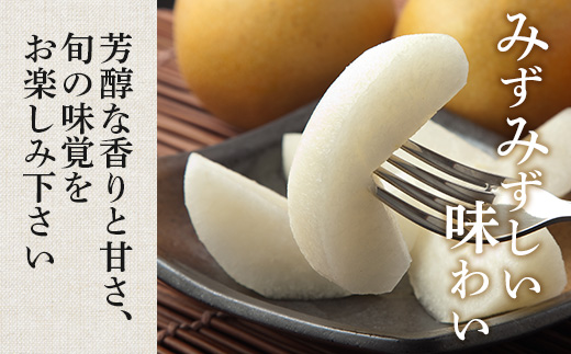 先行予約【2026年7月下旬〜発送分】東光寺 梨 2.5kg (5〜7玉) 1箱 完熟 梨 なし フルーツ 果物 夏 旬 幸水 豊水 秋月 新高 新興 シャリシャリ 025-0573