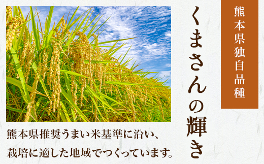 【令和7年産 玄米 】 先行予約 多良木町産 『くまさんの輝き 玄米』 30kg 10月中旬～発送 玄米 熊本県 たらぎ お米 米 熊本県 30キロ 044-0598