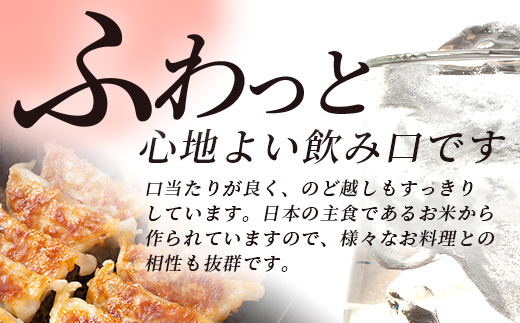 【年内お届け】 球磨焼酎【米一石】4L×4本 エコペット 25度 計16L 米焼酎 蔵元直送 ※12月18日～28日発送※  年内発送 年内配送 クリスマス 040-0587-R612