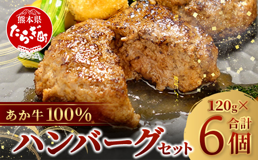 [年内お届け]あか牛 100%ハンバーグ セット 120g×6個 ※12月18日〜28日発送※ ハンバーグ あか牛 牛肉 肉 熊本産 国産牛 年内発送 年内配送 クリスマス