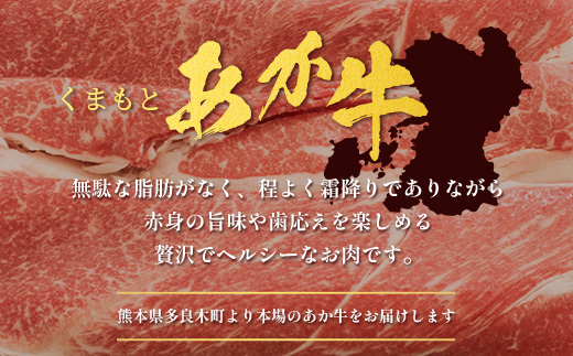 くまもとあか牛切り落とし徳用 500g×2パック 計1kg 熊本県 ブランド牛 肉 ヘルシー 赤身 牛肉 大容量 熊本県 ブランド あかうし 牛肉 用途多彩 きりおとし