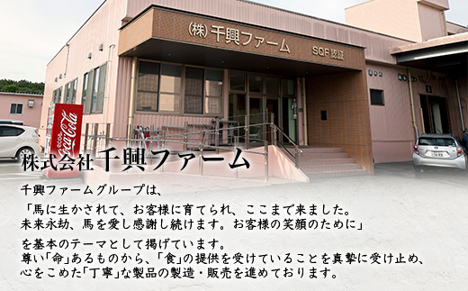 馬スジのカレー 10食 セット 合計2.1kg 【カレー レトルト レトルトカレー 馬すじ 馬スジ 馬 すじ スジ 時短 人気 熊本県 多良木町】 031-0423