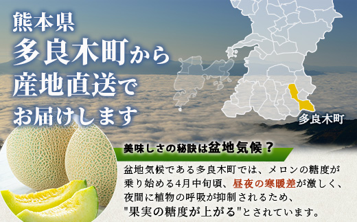 【2025年4月下旬〜順次発送 先行予約】アンデスメロン 4玉〜6玉（約5kg）多良木町 熊本県 メロン フルーツ 果物 期間限定 数量限定 108-0501