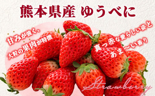 【2025年3月～発送開始】先行予約 熊本県産 いちご ゆうべに 2箱 (250g×8パック) イチゴ 果物 フルーツ 熊本県 多良木町 農園直送 107-0502