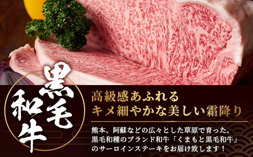 【 A4〜 A5 等級 】くまもと黒毛和牛サーロインステーキセット 1kg（ 250ｇ×4枚 ） ブランド 牛肉 肉 サーロイン ステーキ 250ｇ×4枚 記念日 4人分 ご馳走 ご褒美 和牛 国産 熊本県 上級 上質 106-0503