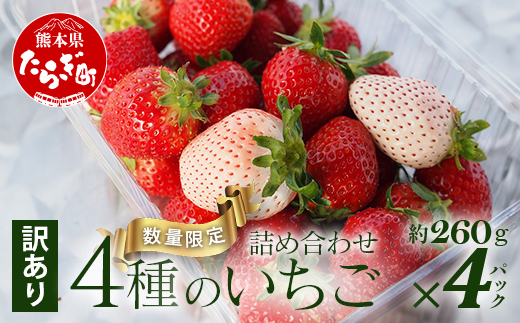 【訳あり】熊本県産いちご 詰め合わせ 約260g×4パック 産地直送 国産 新鮮 フレッシュ 果物 苺 イチゴ 103-0010