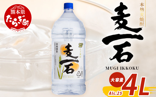 【年内お届け】 球磨焼酎【麦一石】4L エコペット 25度 麦焼酎 蔵元直送 ※12月18日～28日発送※  年内発送 年内配送 クリスマス 040-0586-R612