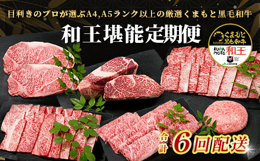 【定期便6回】くまもと黒毛和牛【 和王 堪能 定期便 】6回配送 ブランド牛 プレミアム 黒毛和牛 定期便 サーロイン ヒレ ステーキ 最上級 和牛 牛肉 国産 A4 A5 熊本県 冷凍