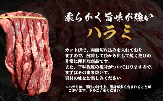 厚切り 牛 ハラミ ステーキ＆ 厚切り 牛タン 【合計 1㎏ 】 焼肉 バーベキュー キャンプ アウトドア ハラミ 焼き肉 カット済み 塩味 牛肉 肉 冷凍 パック 067-0672