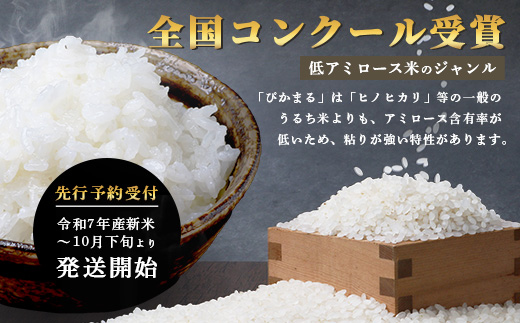 【 令和7年産 新米 先行予約 】 多良木町産 ぴかまる 5kg （ 令和7年10月下旬より順次発送 ）新米 農家が食べる お米 5キロ 甘み 米 美味しい米 米 白米 精米 熊本 065-0640