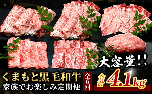 【定期便6回】くまもと黒毛和牛 家族でお楽しみ定期便  《 ロース すき焼き 焼肉 赤身 ハンバーグ10個 》【合計4.1kg】黒毛 和牛 焼き肉 すスキヤキ 焼き肉 上質 ブランド牛 国産 牛肉 冷凍 熊本県