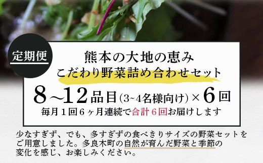 【定期便6回】熊本の大地の恵み 旬の こだわり野菜詰め合わせセット 8〜12品 （3〜4名様向け）6回配送 獲れたて 新鮮 野菜 セット 詰め合わせ 詰合せ 定期便 産地 直送 国産 季節 旬野菜 家族 ファミリー 多良木町 024-0811