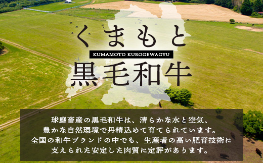 【G1認証】くまもと黒毛和牛 バラ肉 500g【 ブランド 牛肉 バラ 熊本県産 熊本 肉 高級 黒毛和牛 和牛 熊本 多良木 】100-0009