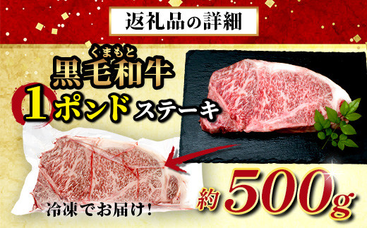 くまもと黒毛和牛 1ポンド ステーキ 約500g《 黒毛 和牛 1 pound ステーキ 500g ブランド牛 上質 常備 冷凍 熊本県 》113-0512