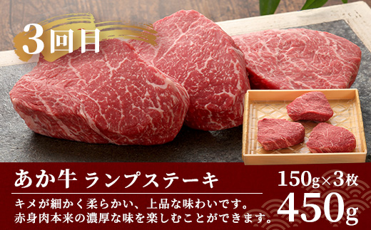 【定期便 6回】あか牛 ステーキ 食べ比べ！ 6回配送 ステーキ 定期便 熊本県産 ≪ サーロイン ミスジ ランプ 三角バラ ヒレ リブ ロース ≫ ステーキ 和牛 あか牛 牛肉 赤身 肉 定期 和牛 国産 ご褒美 定期便 6カ月 046-0676