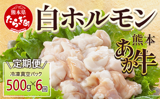 【定期便6回】熊本あか牛 白ホルモン 計3Kg (250g×2)×6回 冷凍真空パック【 熊本 熊本県産 あか牛 冷凍 真空 もつ鍋 ホルモン 焼き肉 】 041-0140