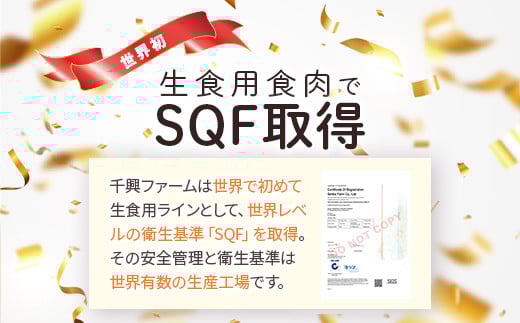 【2月終了】6種 馬肉 バラエティ 約540g 食べ比べ 冷凍 馬刺し 熊本 国産 馬肉ハンバーグ 刺身 生食 新鮮 ユッケ さばきたて SQF 安全 高品質 ハンバーグ 詰め合わせ 赤身 熊本 国産 小分け 031-0437