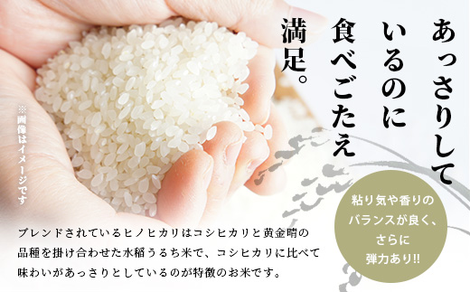 球磨産 精米 「ふる里からの贈り物」5kg 国内産 ひのひかり ブレンド米 ヒノヒカリ 未検査米 白米 お米 熊本県 多良木町 036-0181