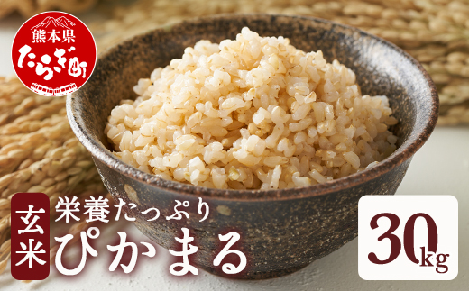 【玄米】 多良木町産 『ぴかまる』 30kg【 熊本県 たらぎ お米 米 艶 粘り 甘み うま味 やわらか 熊本のお米 30キロ 栄養価 玄米 】 044-0599