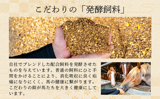 熊本特産馬刺し ユッケ 食べ比べ セット 合計250g 【 ユッケ ・ ネギトロ 】ソムリエ セレクト 104-0004