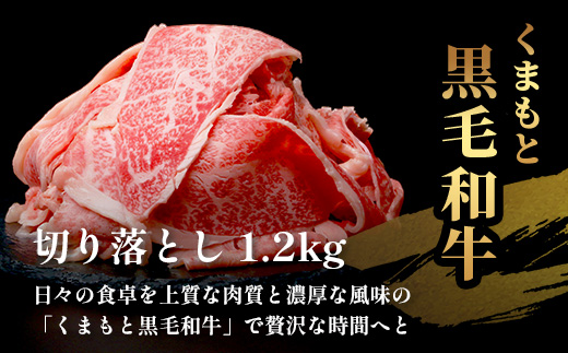 【定期便6回】《訳あり》くまもと黒毛和牛 切り落とし 1.2kg ( 400g ×3 ) ×6回配送 【合計7.2kg】本場 熊本県 黒毛 和牛 ブランド 牛 肉 上質 くまもと 113-0517