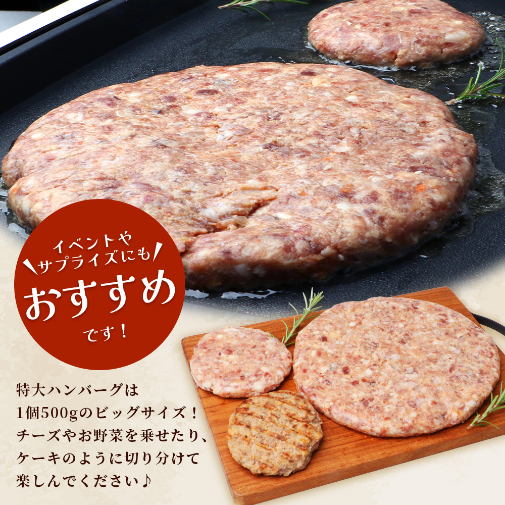 ジビエ肉入り ハンバーグ 計1.5kg（生100g×5・焼100g×5・生特大500g×1）【 鹿 鹿肉 猪 猪肉 豚 豚肉 牛 牛肉 肉 お肉 ジビエ ハンバーグ セット 】 021-0438