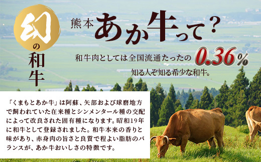 【 定期便 6回 】 熊本あか牛 焼肉用カット ( バラ ・ ロース ) 500g × 6回 【 合計 3kg 】 国産 牛肉 冷凍 熊本 熊本県産 あか牛 赤牛 切り落とし 041-0153