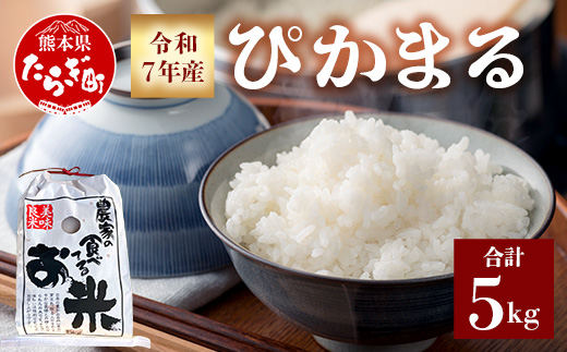 【 令和7年産 新米 先行予約 】 多良木町産 ぴかまる 5kg （ 令和7年10月下旬より順次発送 ）新米 農家が食べる お米 5キロ 甘み 米 美味しい米 米 白米 精米 熊本 065-0640