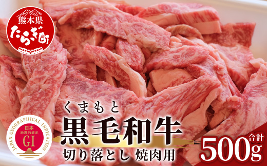 【G1認証】くまもと黒毛和牛 切り落とし 500g【 ブランド 牛肉 贅沢 切り落とし 熊本県産 熊本 肉 高級 黒毛和牛 和牛 熊本 多良木 】100-0010