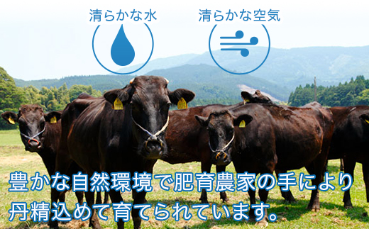 ãå®æäŸ¿ 3åãããŸããšé»æ¯åç ãµãŒãã€ã³ã¹ããŒã ã豪è¯ãããã¯ãçŽ1.8kgÃ3å éæé
éã ãã©ã³ã çè ã¹ããŒã 倧容é çæ¬çç£ çæ¬ ãµãŒãã€ã³ ééã è é«çŽ é»æ¯åç åç ã100-0004