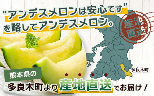 【2025年4月下旬以降発送分 先行予約】アンデスメロン 4玉〜6玉（1箱5kg）熊本県 多良木町産 果物 フルーツ メロン 先行予約 5kg 青肉 期間限定 数量限定 012-0556