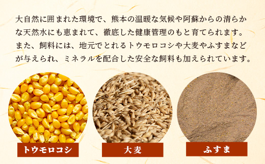 【 A4〜 A5 等級 】くまもと黒毛和牛 焼肉用 500ｇ【 ブランド 牛肉 肉 やき肉 焼き肉 バラ ロース モモ 和牛 国産 熊本県 上級 上質 】