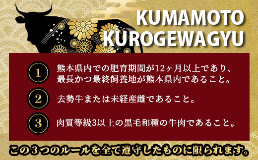 【年内お届け】くまもと黒毛和牛 1ポンド ステーキ 約500g※12月18日～28日発送※  黒毛 和牛 1 pound ステーキ 500g ブランド牛 上質 常備 冷凍 熊本県  年内発送 年内配送 クリスマス