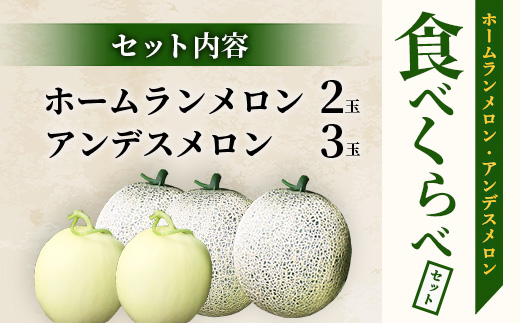 【2025年4月中旬発送開始】【先行予約】熊本県産 ホームランメロン アンデスメロン 食べ比べ 計5玉 約5kg【 先行 御予約 予約 ご予約 熊本 くまもと メロン フルーツ 】083-0624