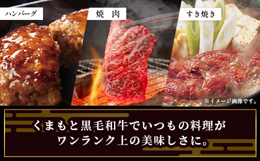 【定期便6回】くまもと黒毛和牛 家族でお楽しみ定期便  《 ロース すき焼き 焼肉 赤身 ハンバーグ10個 》【合計4.1kg】黒毛 和牛 焼き肉 すスキヤキ 焼き肉 上質 ブランド牛 国産 牛肉 冷凍 熊本県