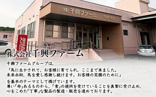 【定期便6回】馬肉づくし 「 馬刺し・お惣菜 定期便 」6回配送 本場 熊本県 馬さし 定期便 千興ファーム SQF 認証 安心安全 馬肉 ユッケ ハンバーグ カレー 新鮮 冷凍 ミシュラン 生食用 肉 菅乃屋 熊本 031-0507