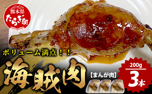 【数量限定】 村上精肉店 海賊肉 （まんが肉） 約200g×3本 国内産 肉 憧れの 肉 ハンバーグ ベーコン 焼くだけ 冷凍 国産 キャンプ バーベキュー アウトドア 021-0675